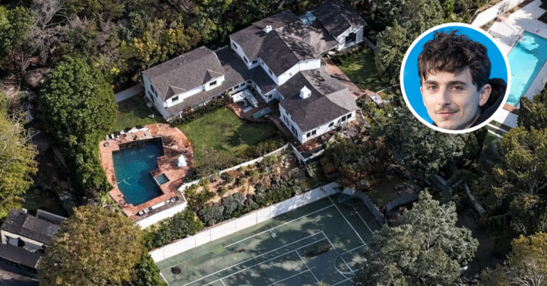 An aerial view of Timothee Chalamet's home in Beverly Hills.