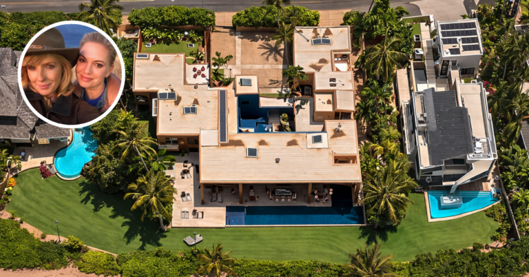 An aerial view of Barret Swatek's Maui estate sold at auction