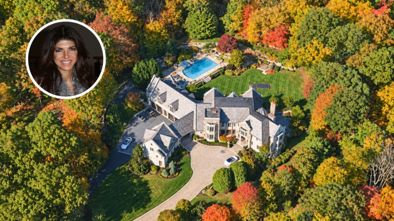 An aerial overview of Teresa Giudice and Luis Ruela's New Jersey Home.