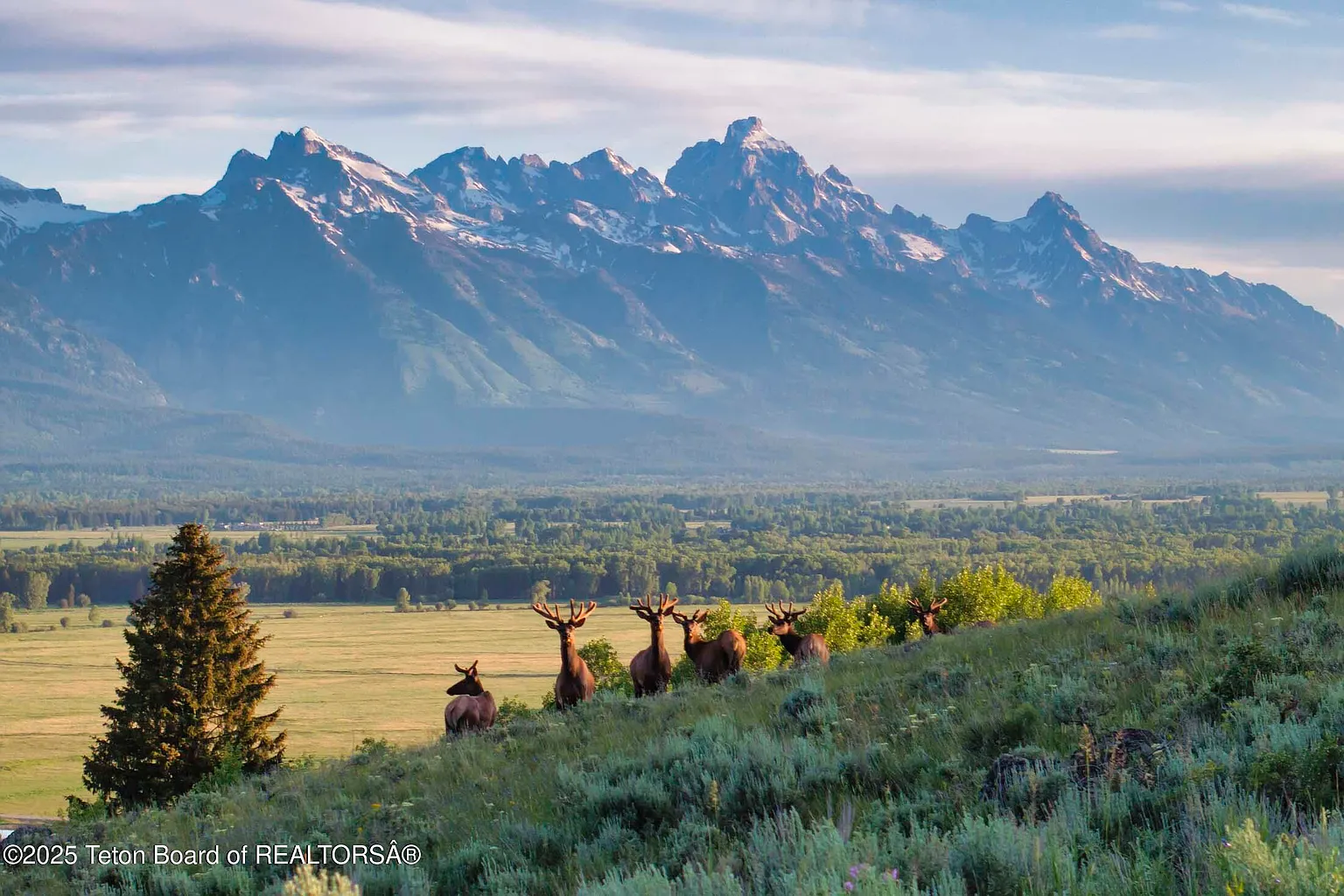 pharma-exec-behind-mounjaro-lists-his-117-acre-wyoming-ranch-for-40