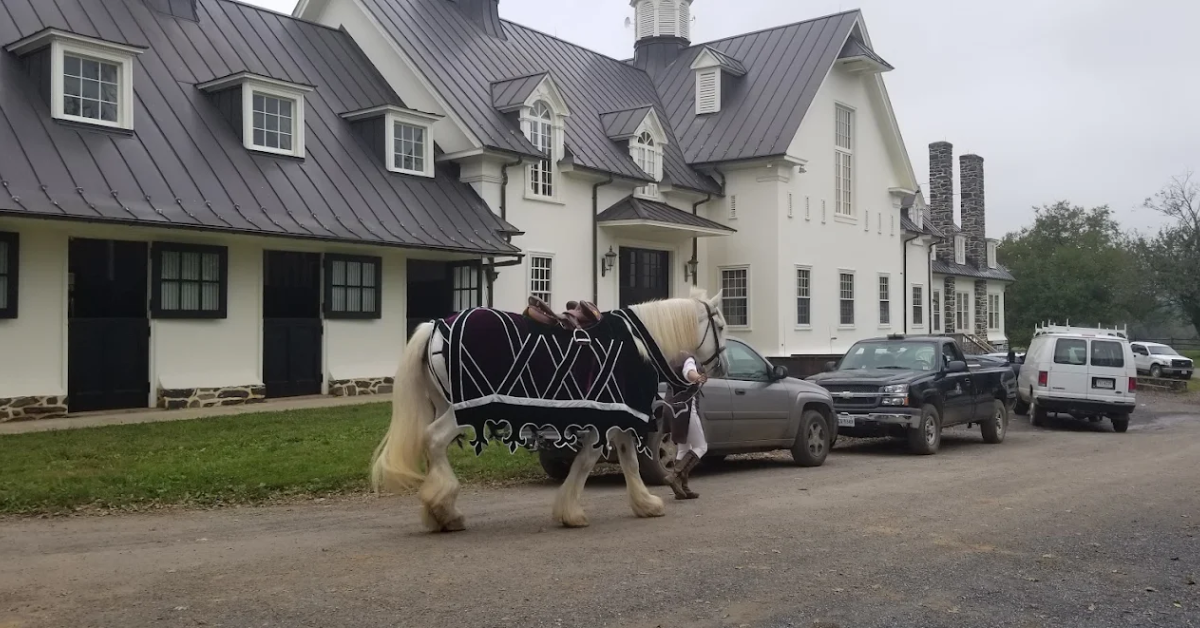 A view inside Ayeshire Farm in Virginia