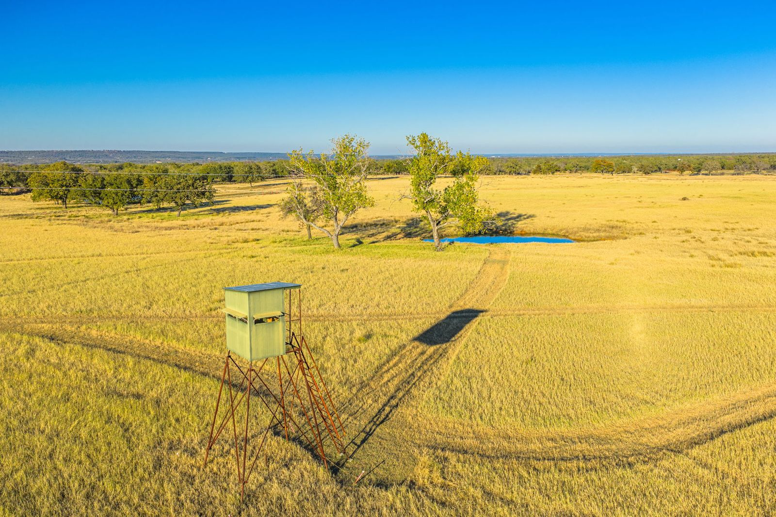 Wide grassy field with a small pond and high hunting tower.
