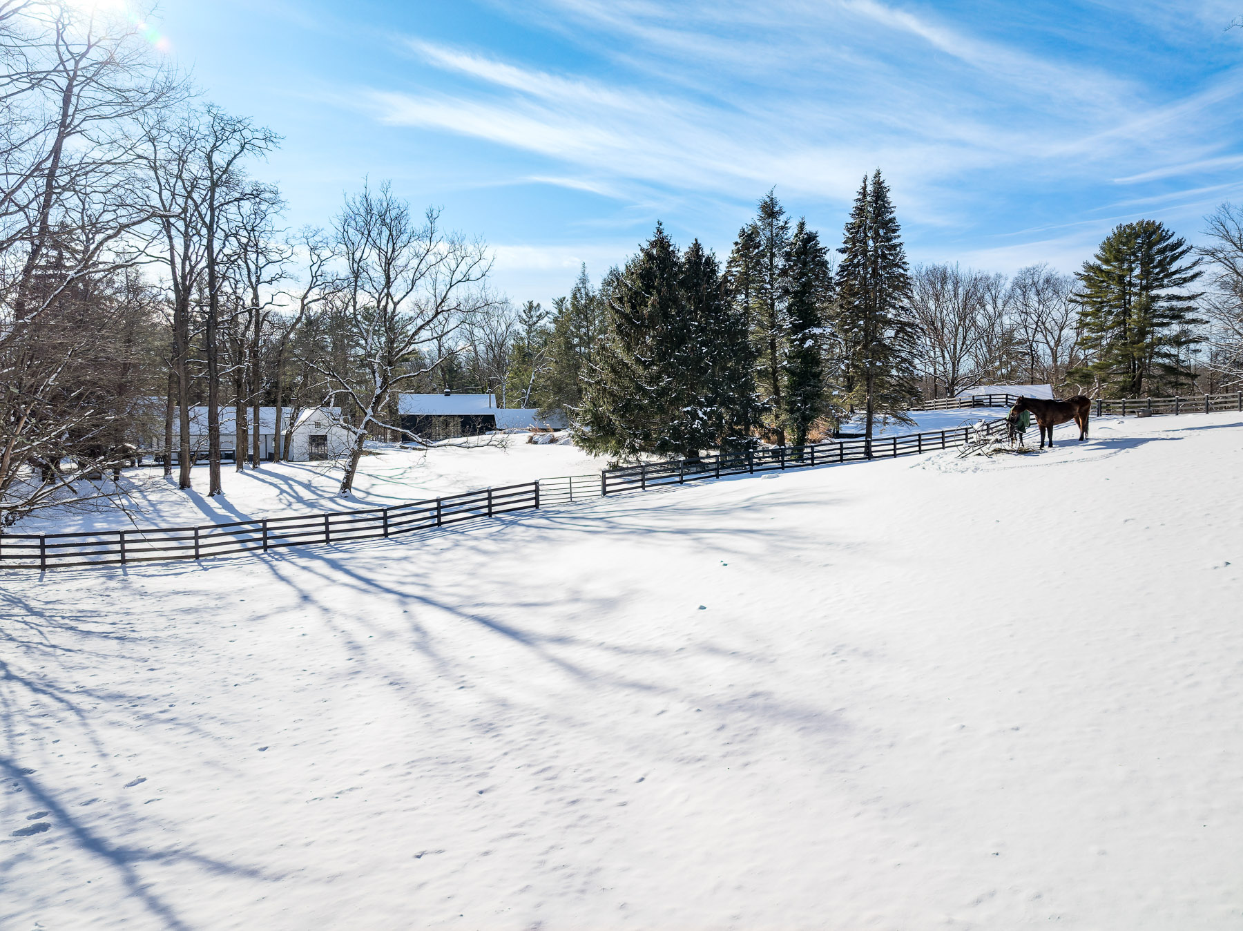 Black post-and-rail fencing encloses horse pastures in the trees.