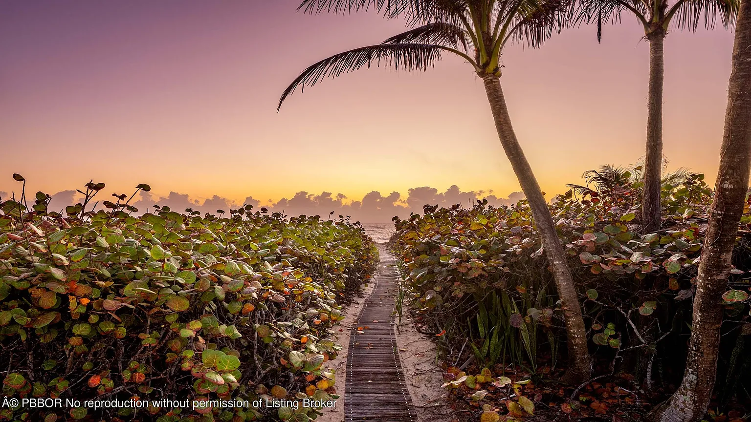 A path in the sand, hidden by green bushes, leads you straight towards the water.
