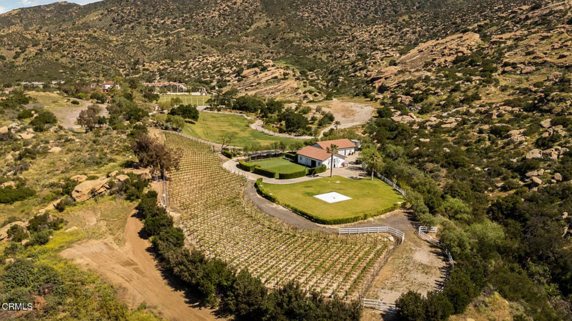 On the far end of the property, the land shifts into agricultural use with planted vineyards and olive groves stepping down the slope near one of the secondary structures.