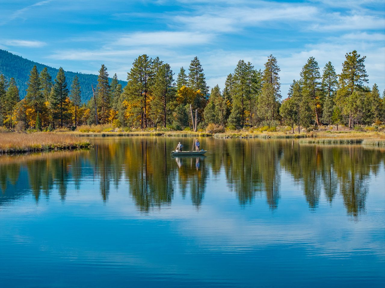 A large river surrounded by tall trees with two men fishing in a boat.