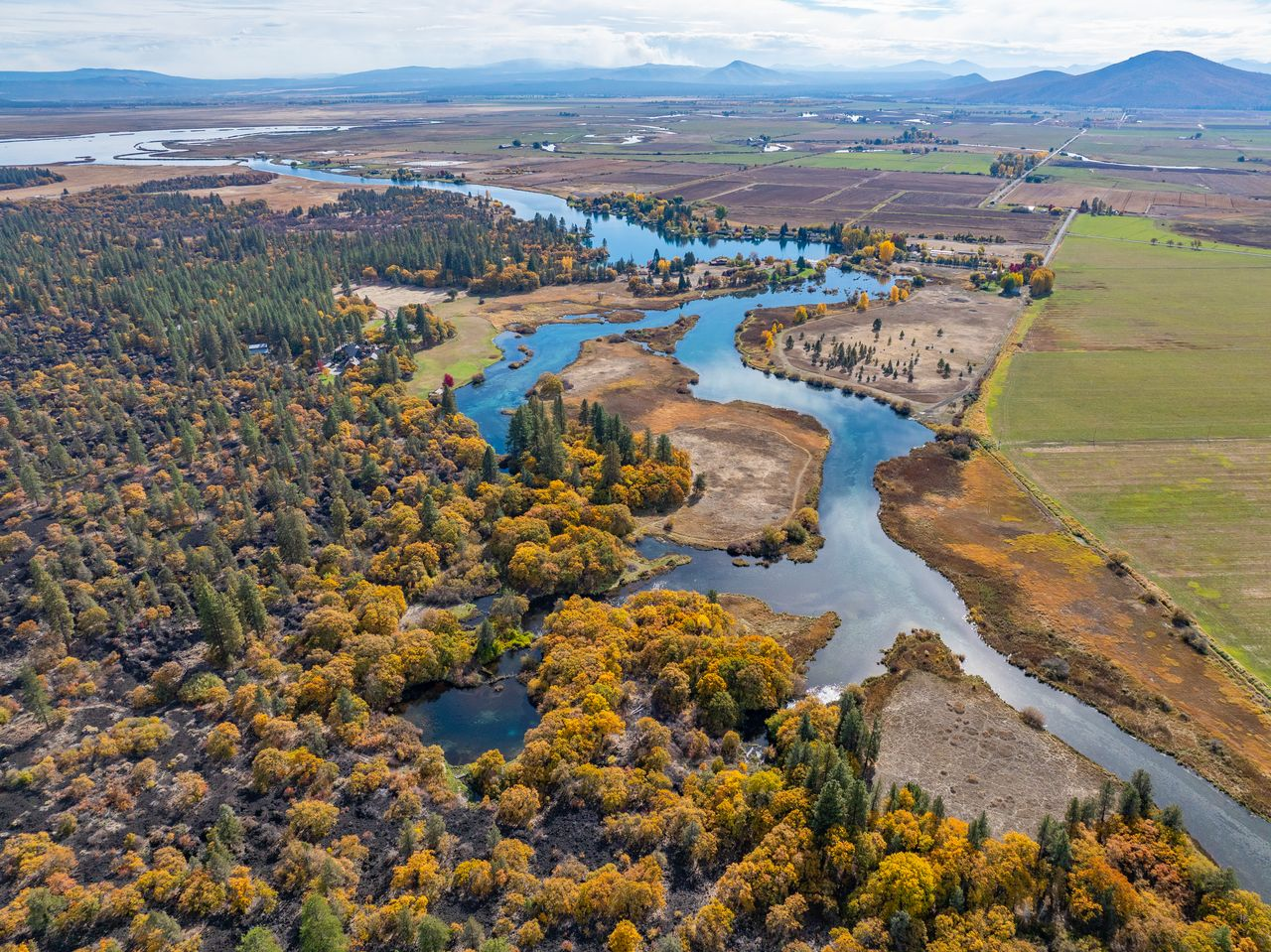 Rivers winding through fall tres and agricultural land.