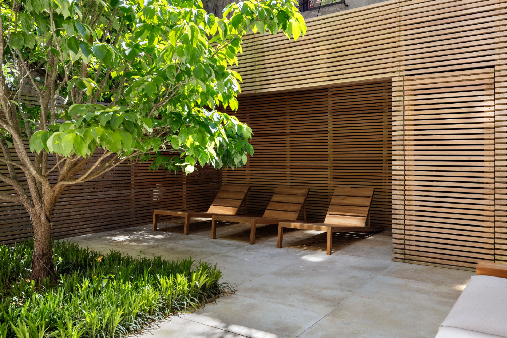 A row of wood chaise lounges lines the wall beneath a leafy tree canopy, creating a second zone meant more for sunning and outdoor napping than gathering.