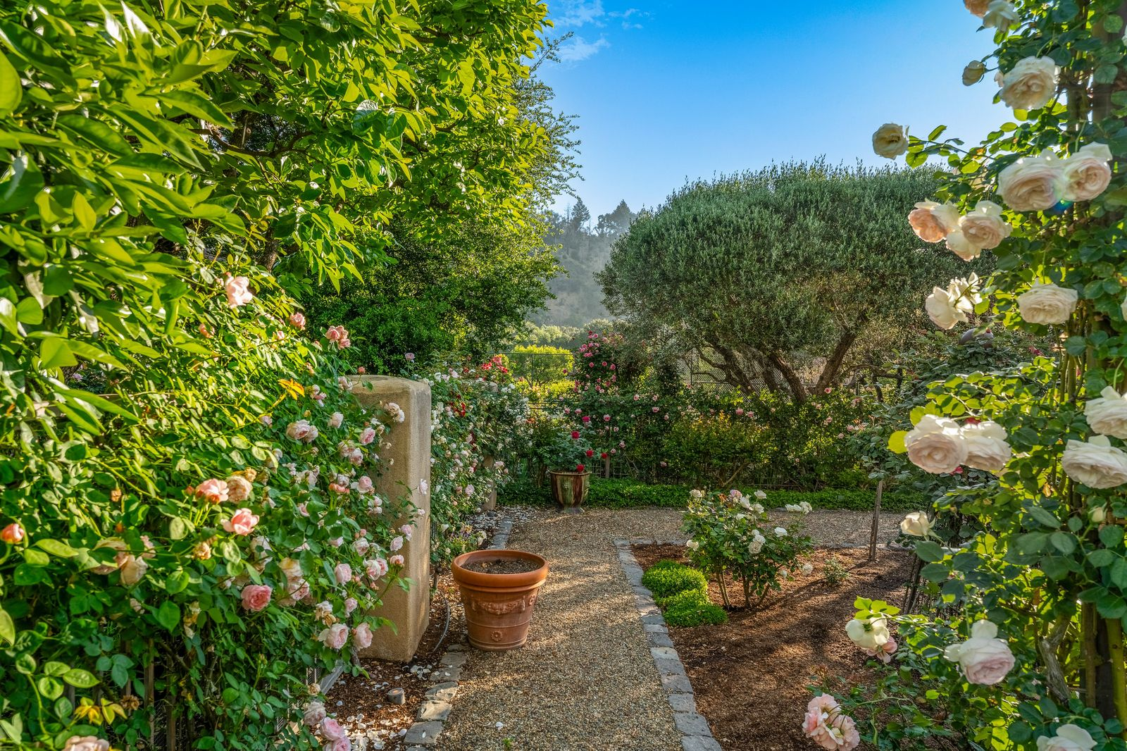 Just outside the guest accommodations, pathways wind through gardens filled with climbing roses, olive trees, and layered greenery.