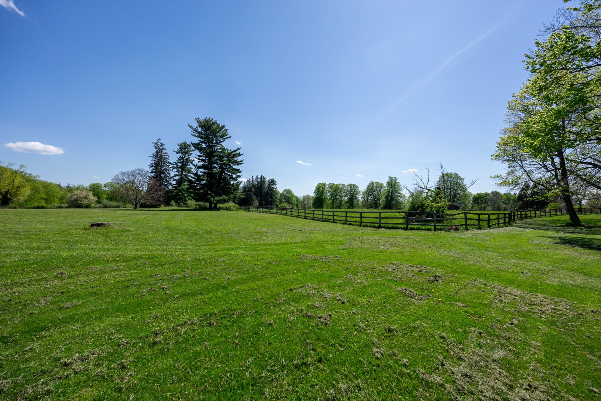 Rolling lawns stretching out to the trees.