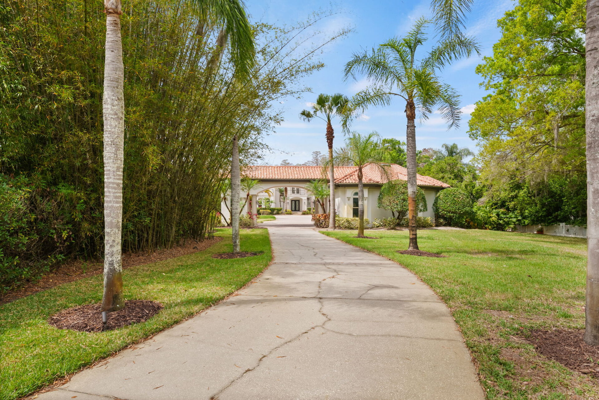 A long, palm-lined driveway winds through mature tropical landscaping and dense greenery to guide you towards Brown's former mansion.