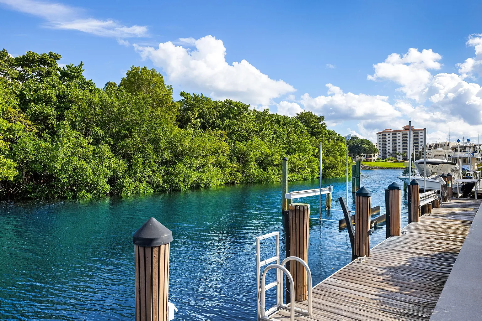 A deep-water dock that extends along the shoreline.