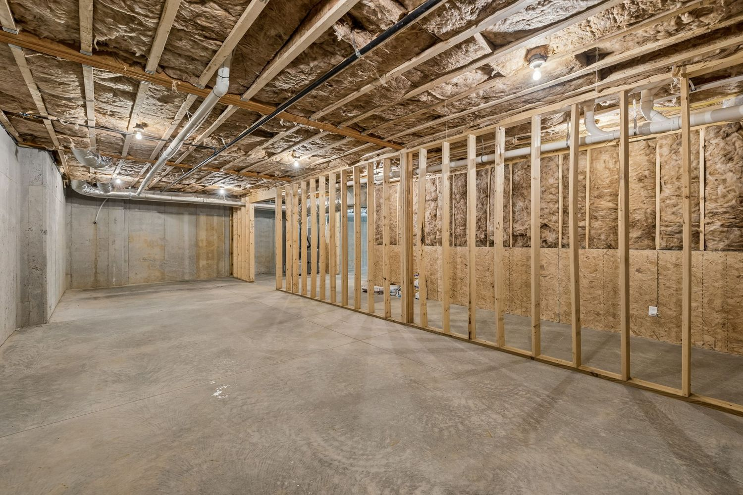 Unfinished basement.