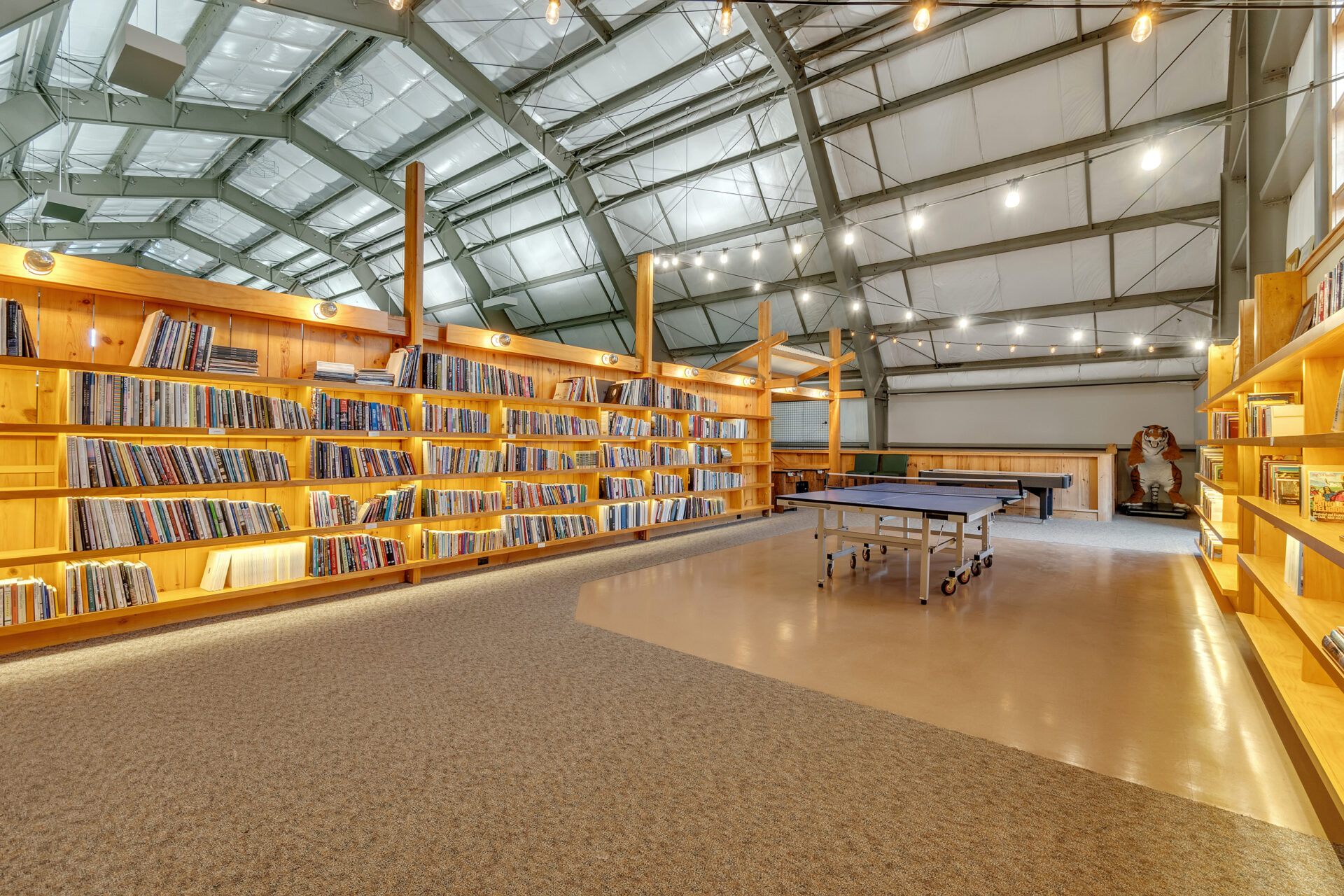 Floor-to-ceiling bookshelves wrap the walls, while the center of the room accommodates a ping pong table and additional gaming areas beneath the curved ceiling.