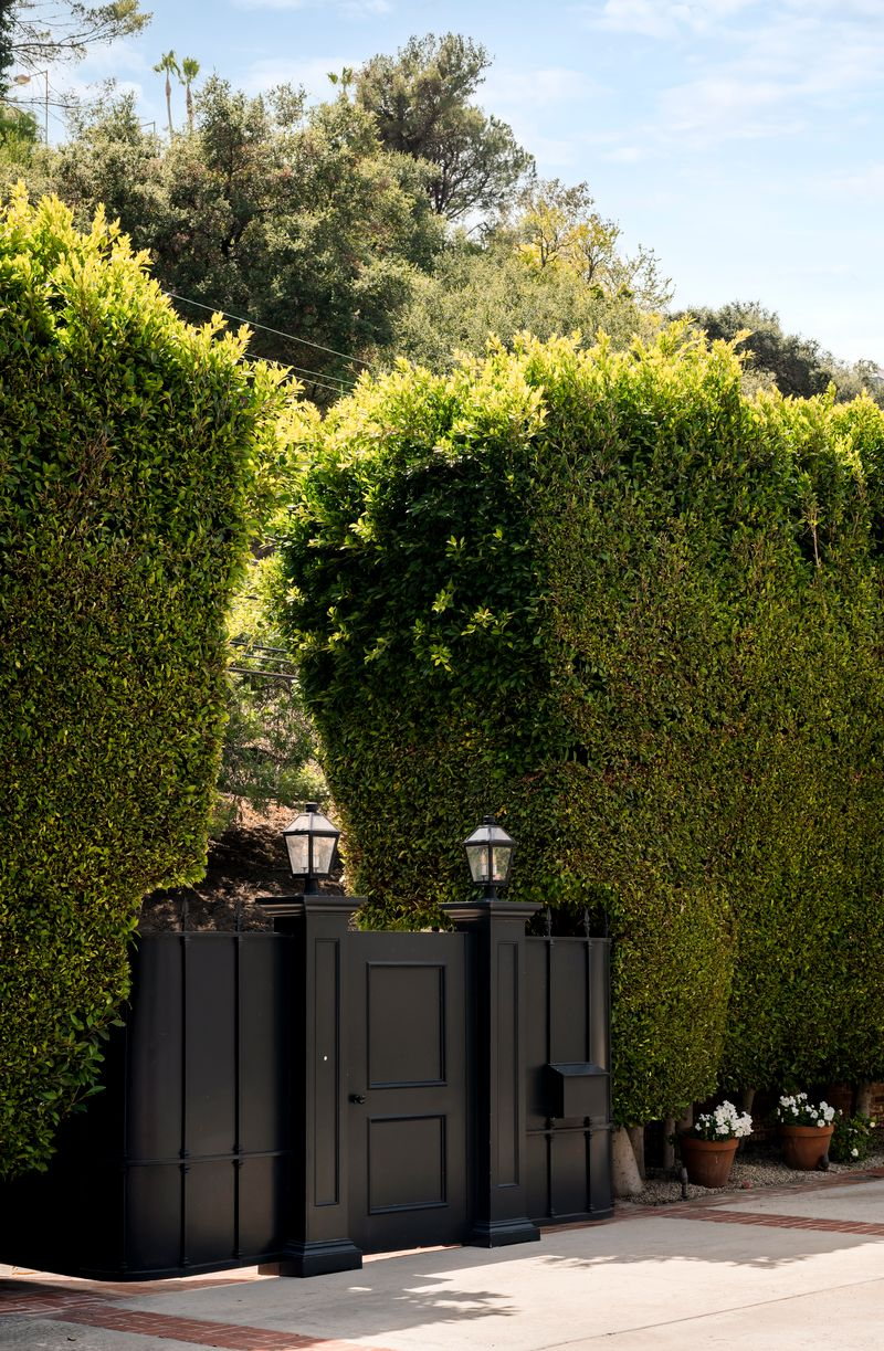 Black gated door framed by hedges double their height.