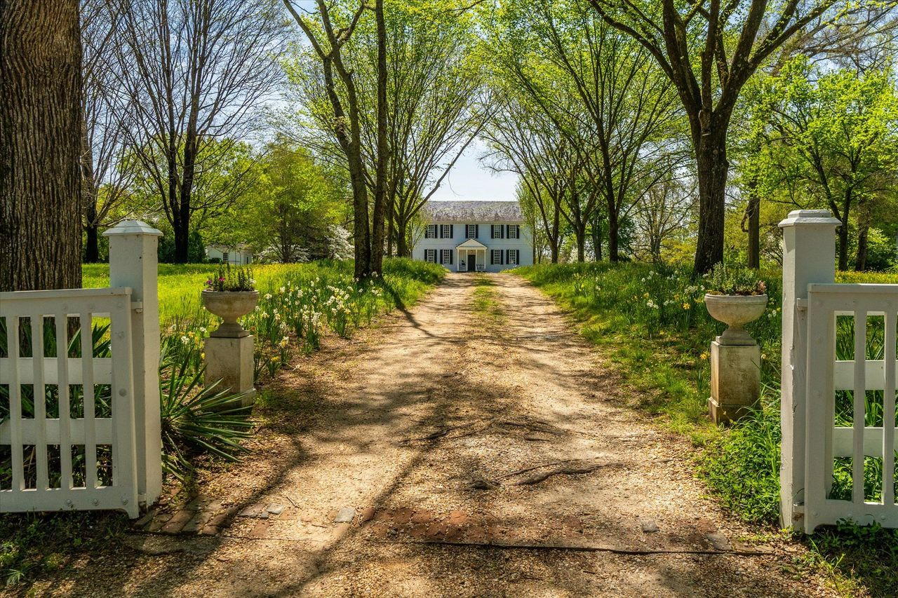 Passing through the white entry gates, a long cedar-lined drive guides you to the manor house.