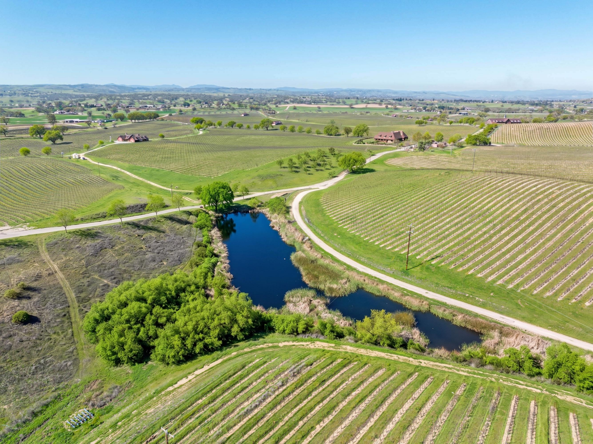 Huero Huero Creek surrouneded by vineyards.
