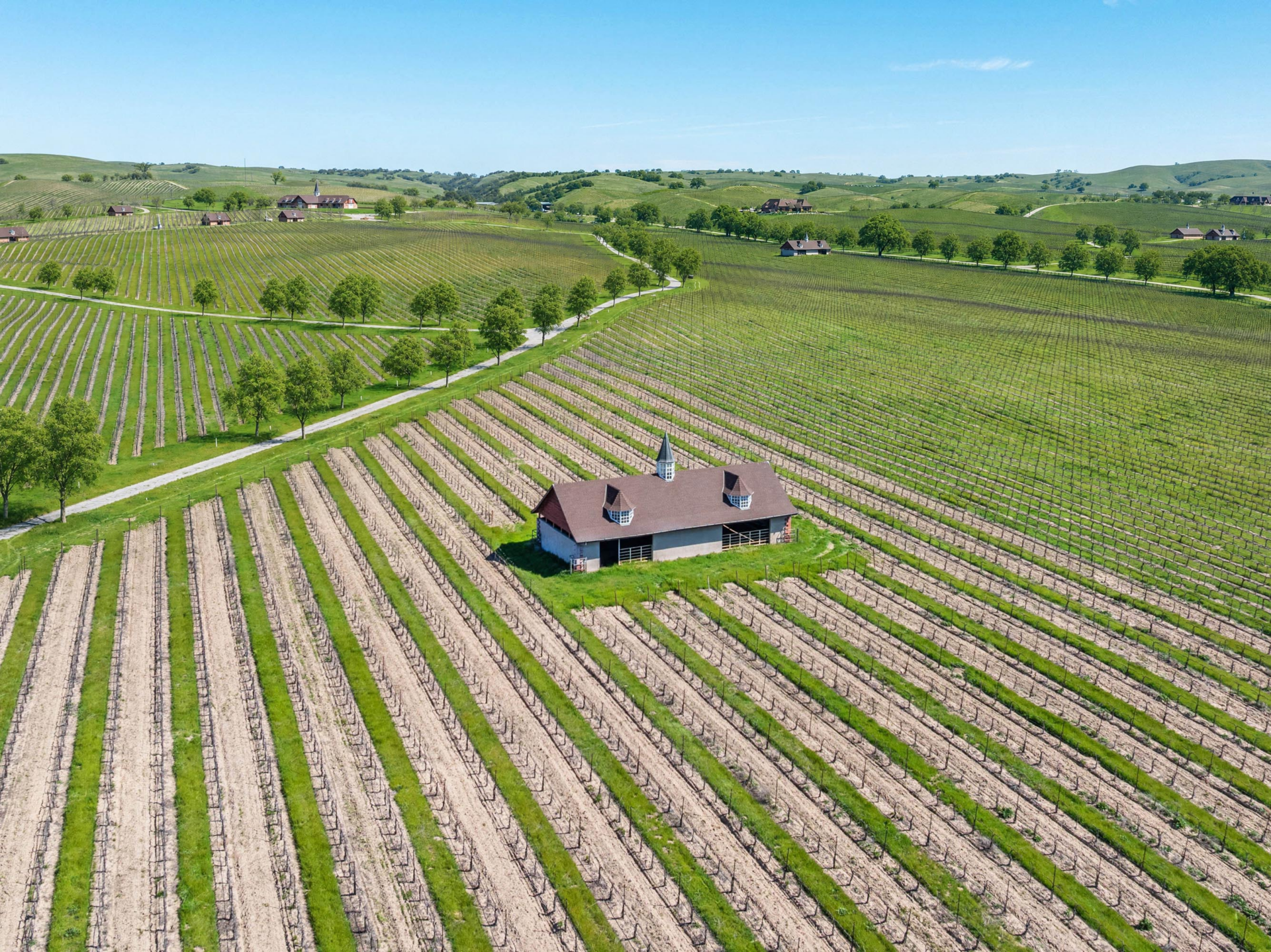 A house surrounded by acres of vineyards.
