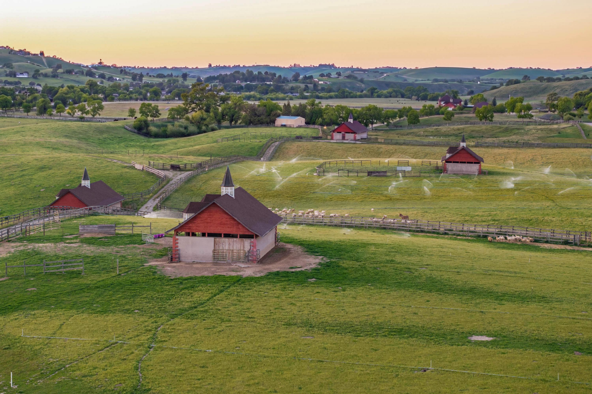 Four specialized barns dedicated to training, foaling, stallion breeding, and yearling development.