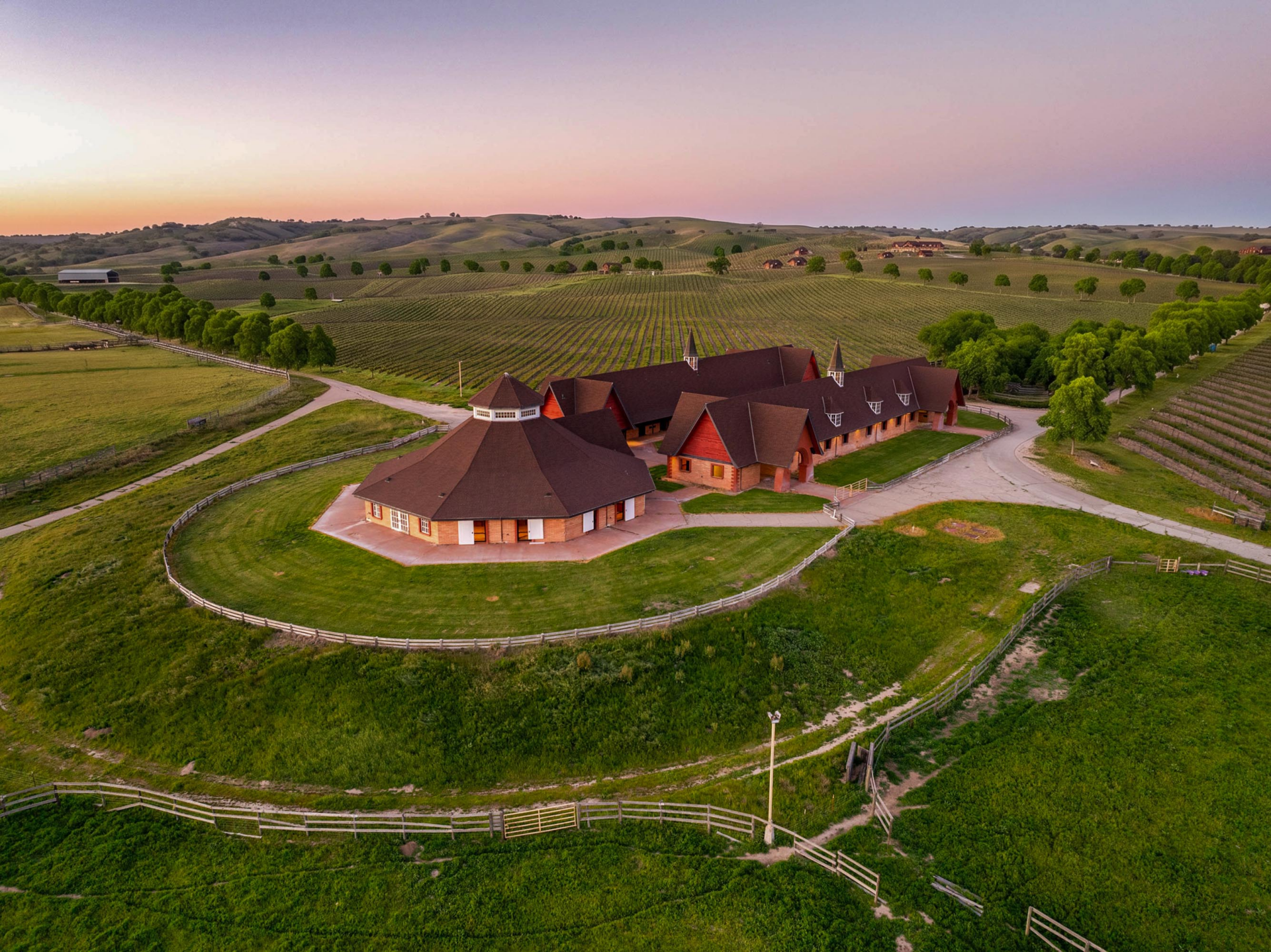 Along building surrounded by green vineyards and horse paddocks.