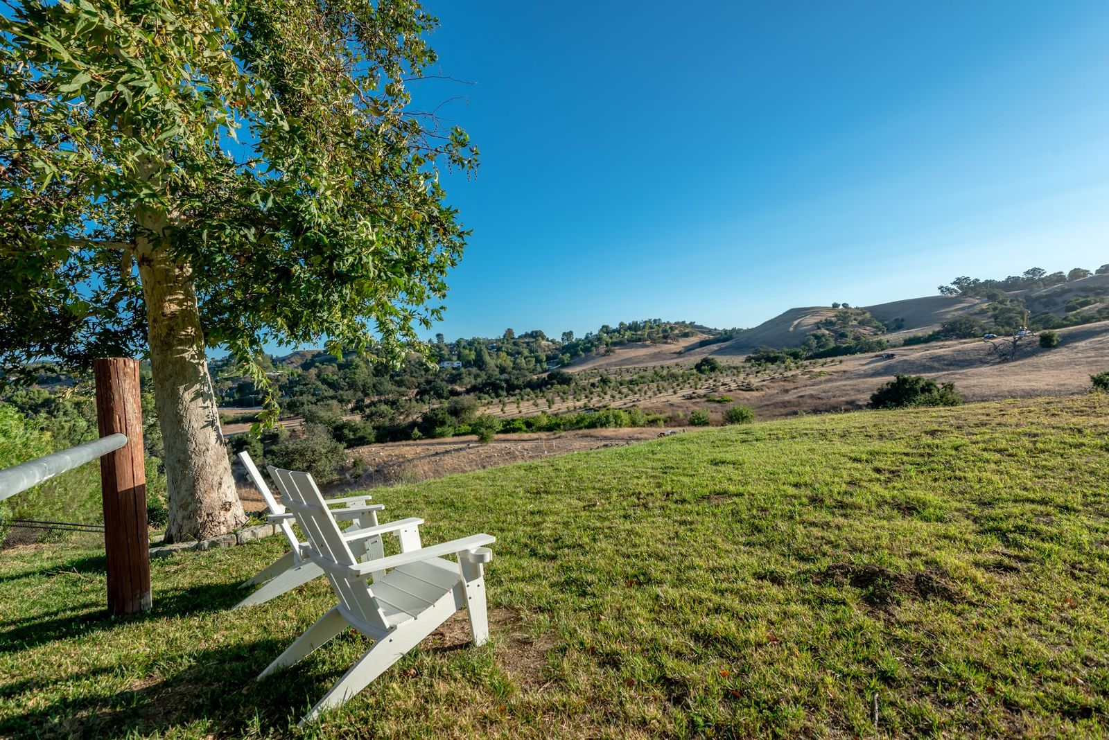 The grassy expanse opens toward rolling hills and rows of trees, with a simple seating area positioned to take in the surrounding landscape.