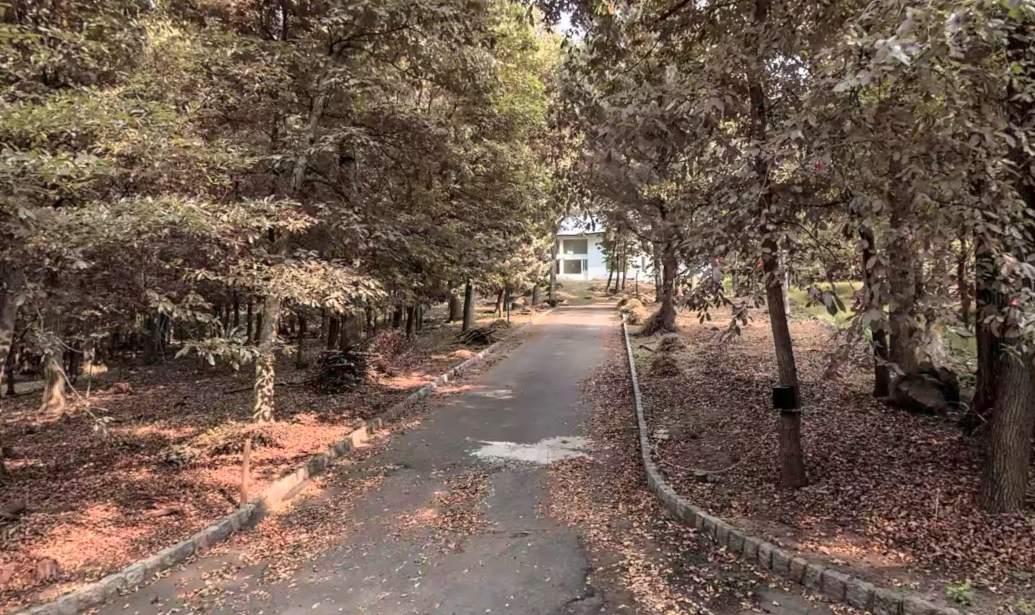 Rodgers' New Jersey home is entered through a long driveway framed by towering trees.
