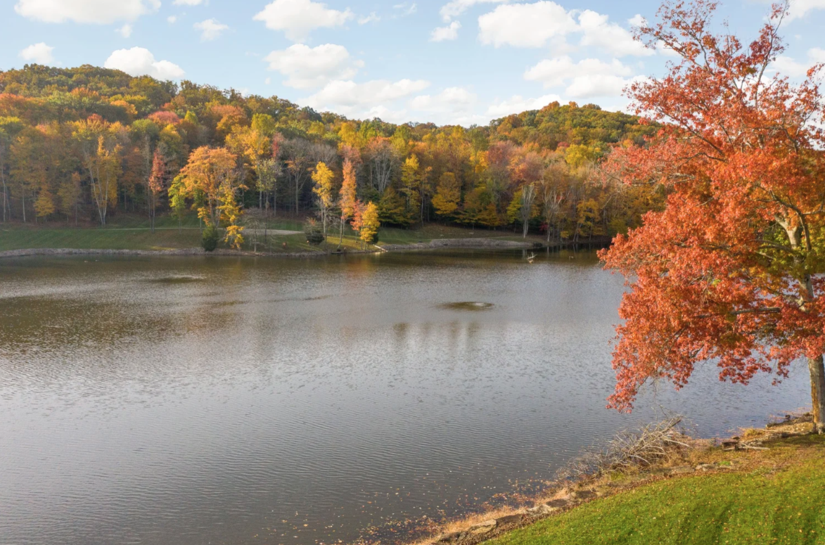 All around the lake, the forest takes up a large chunk of the remaining acreage.