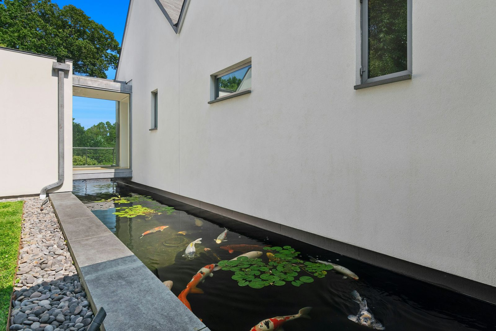 Koi pond beside the house.