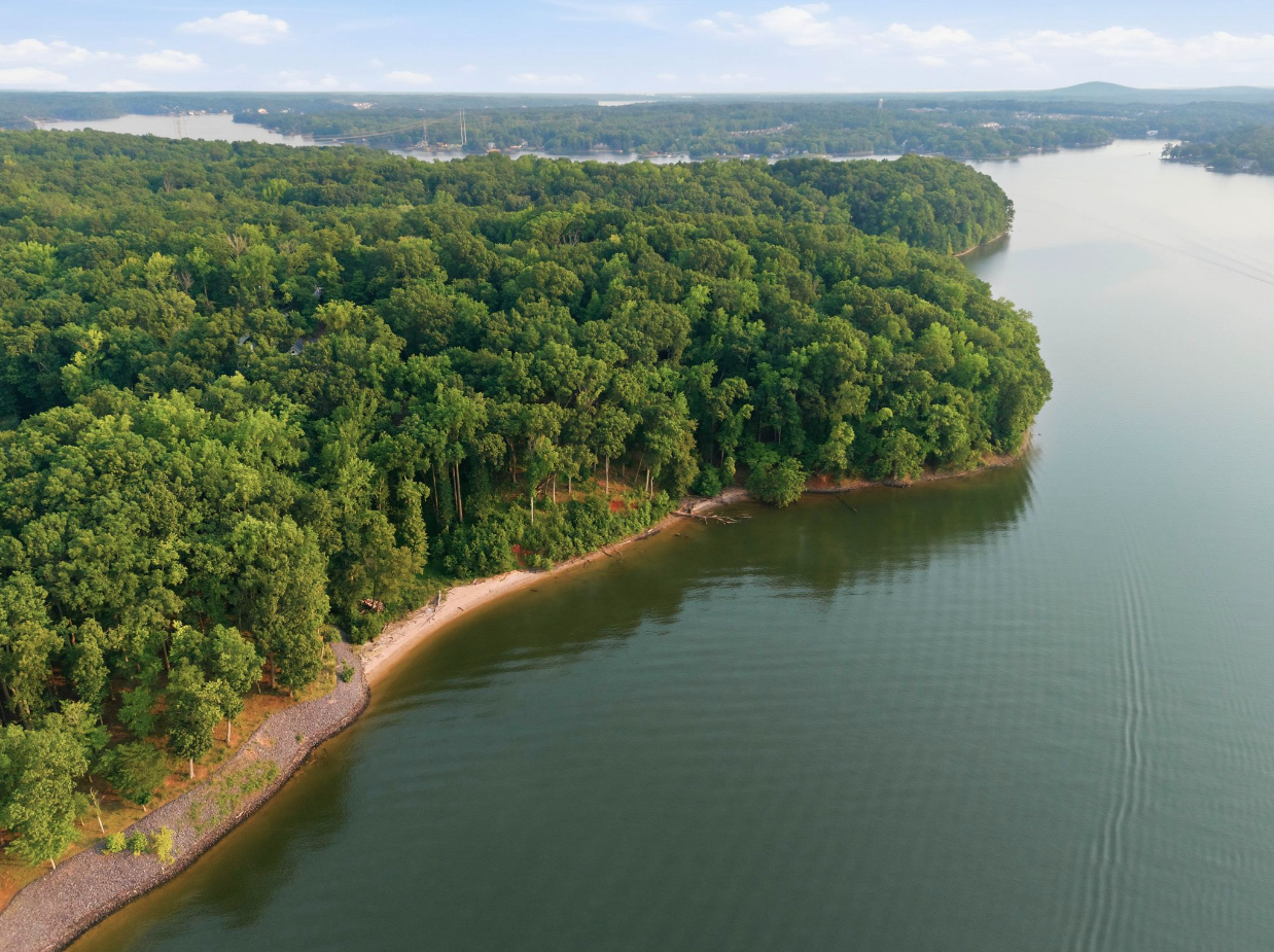 Beyond the developed grounds, the property continues through the dense woods toward its frontage on Lake Wylie. 