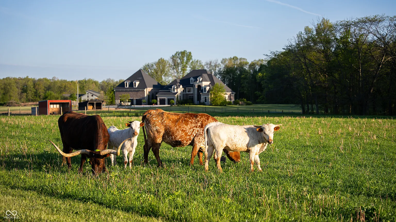 The open fields continue around the livestock areas, with the home visible in the distance across the pasture.
