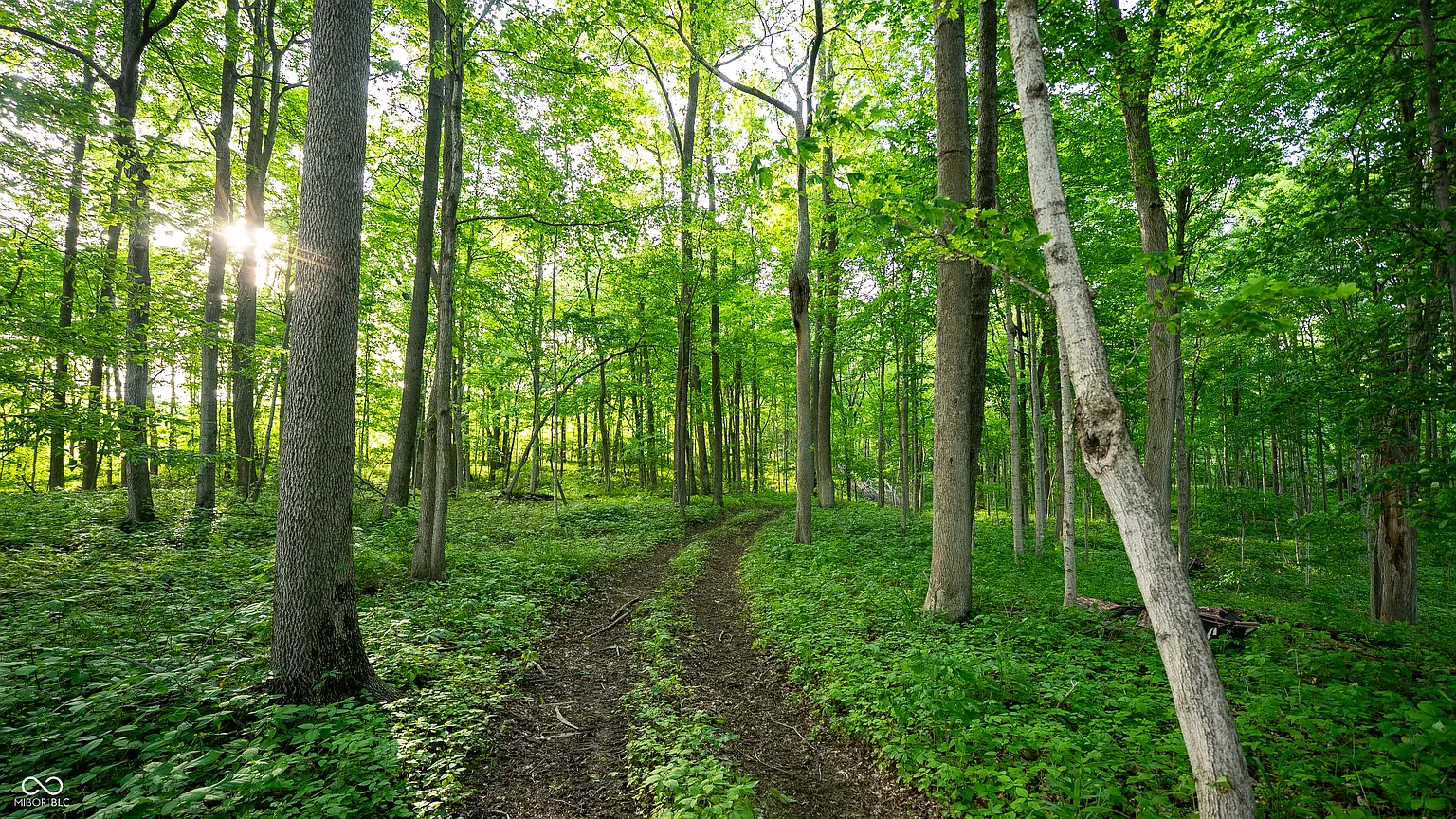A network of UTV trails winds beneath the trees and through the rolling terrain.