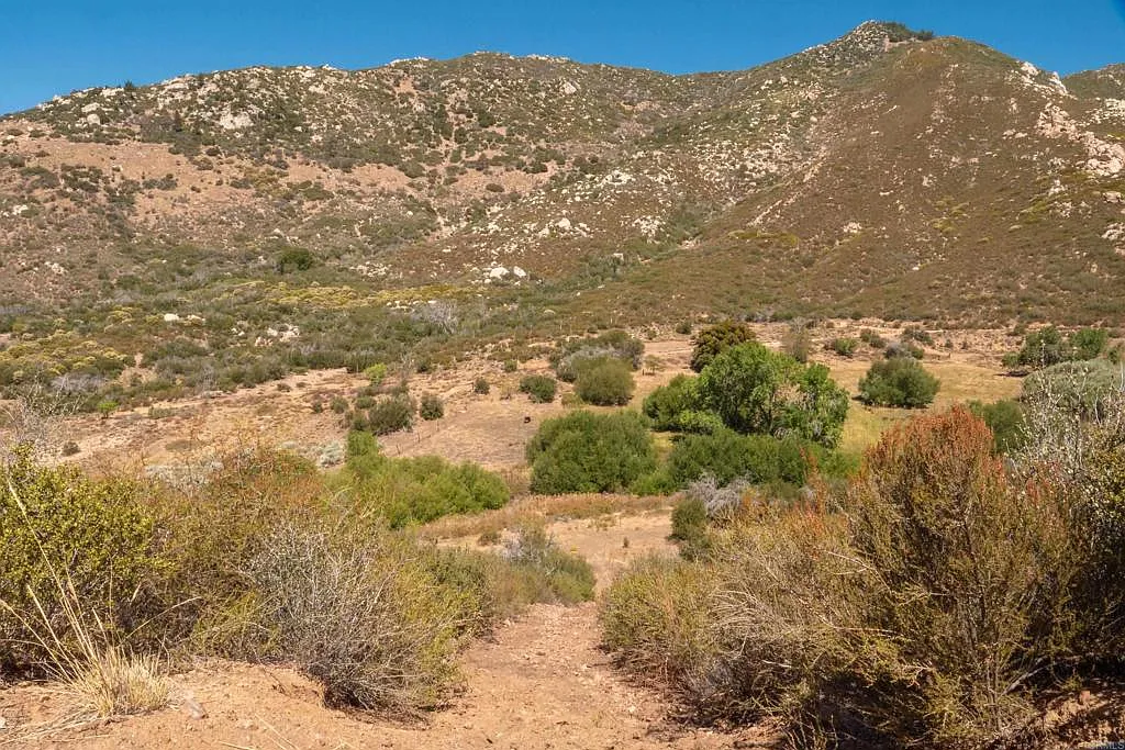 Apple and pear trees within mountains.