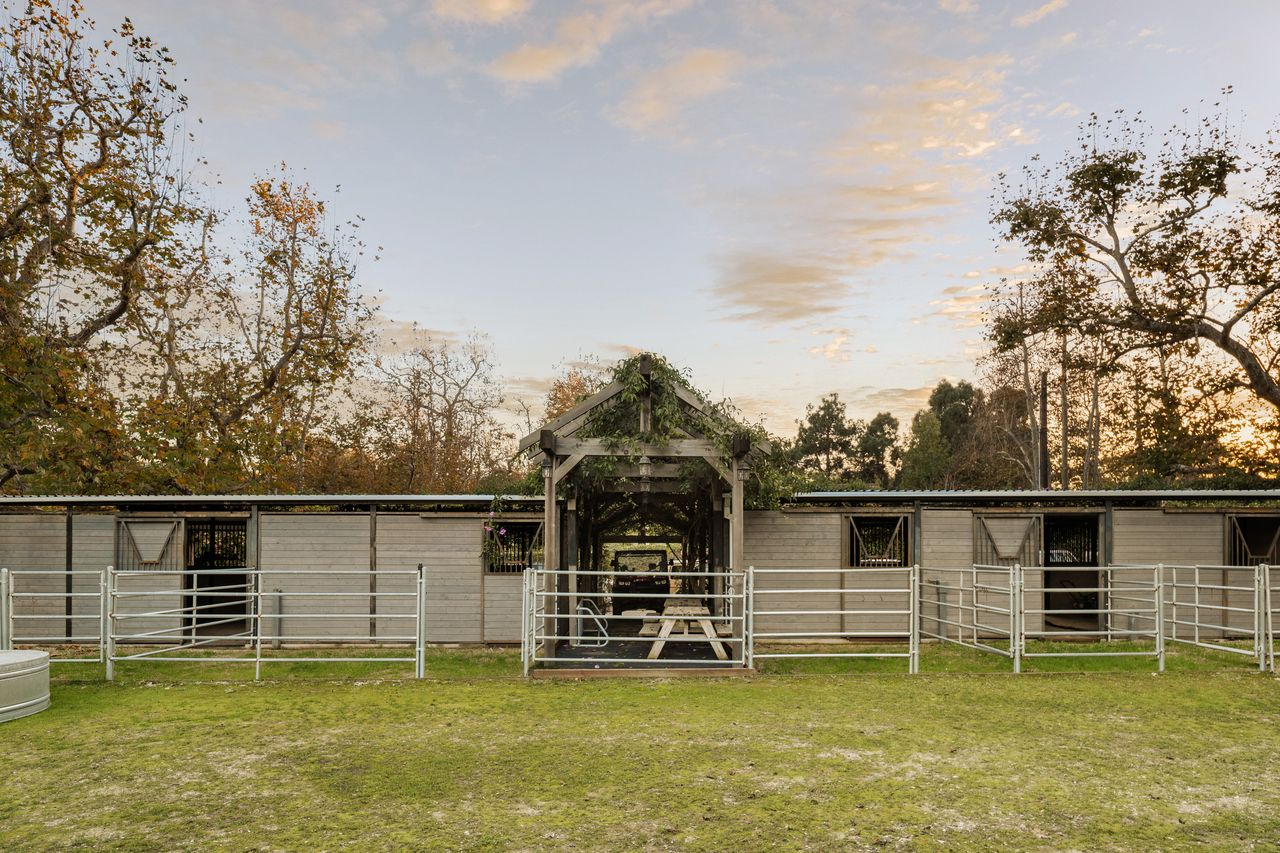 A long row of horse stables placed behind metal-fenced paddocks for riding.