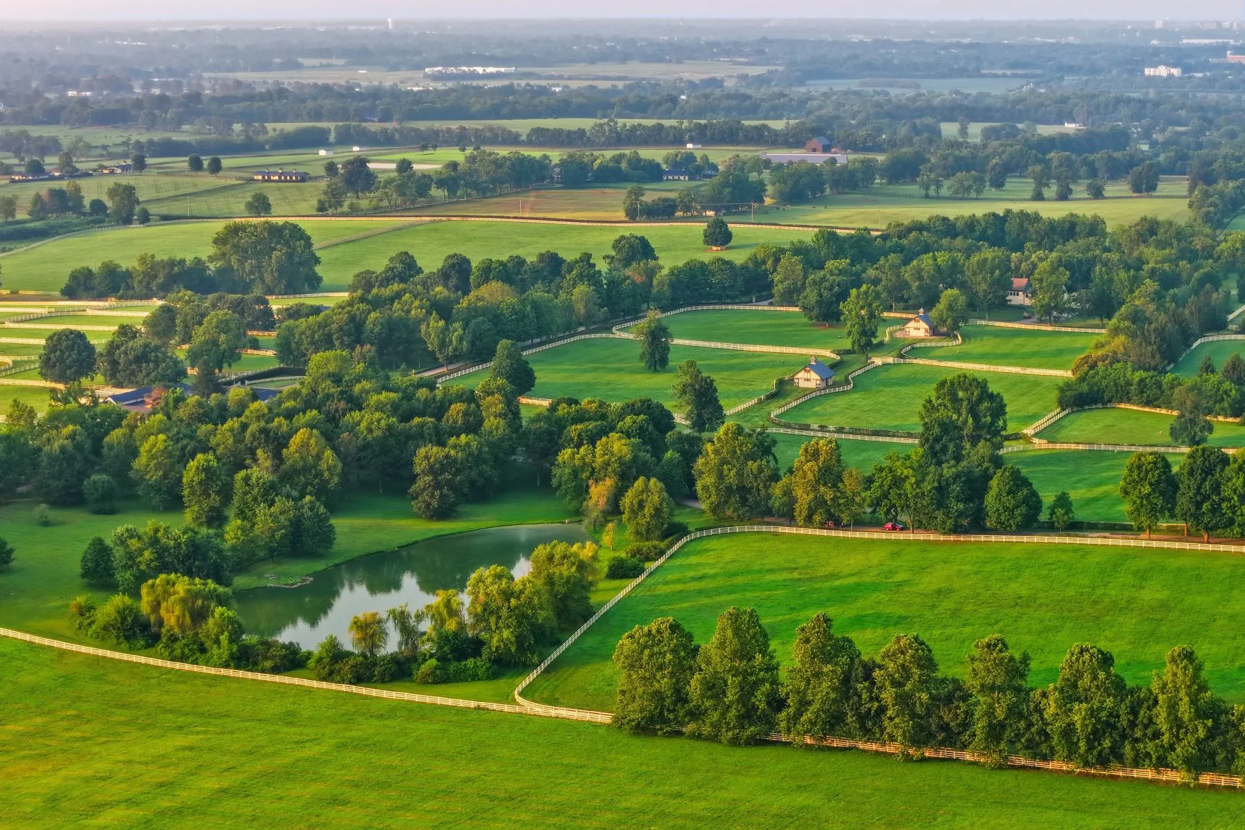 Aerial view of historic Kentucky horse farm.