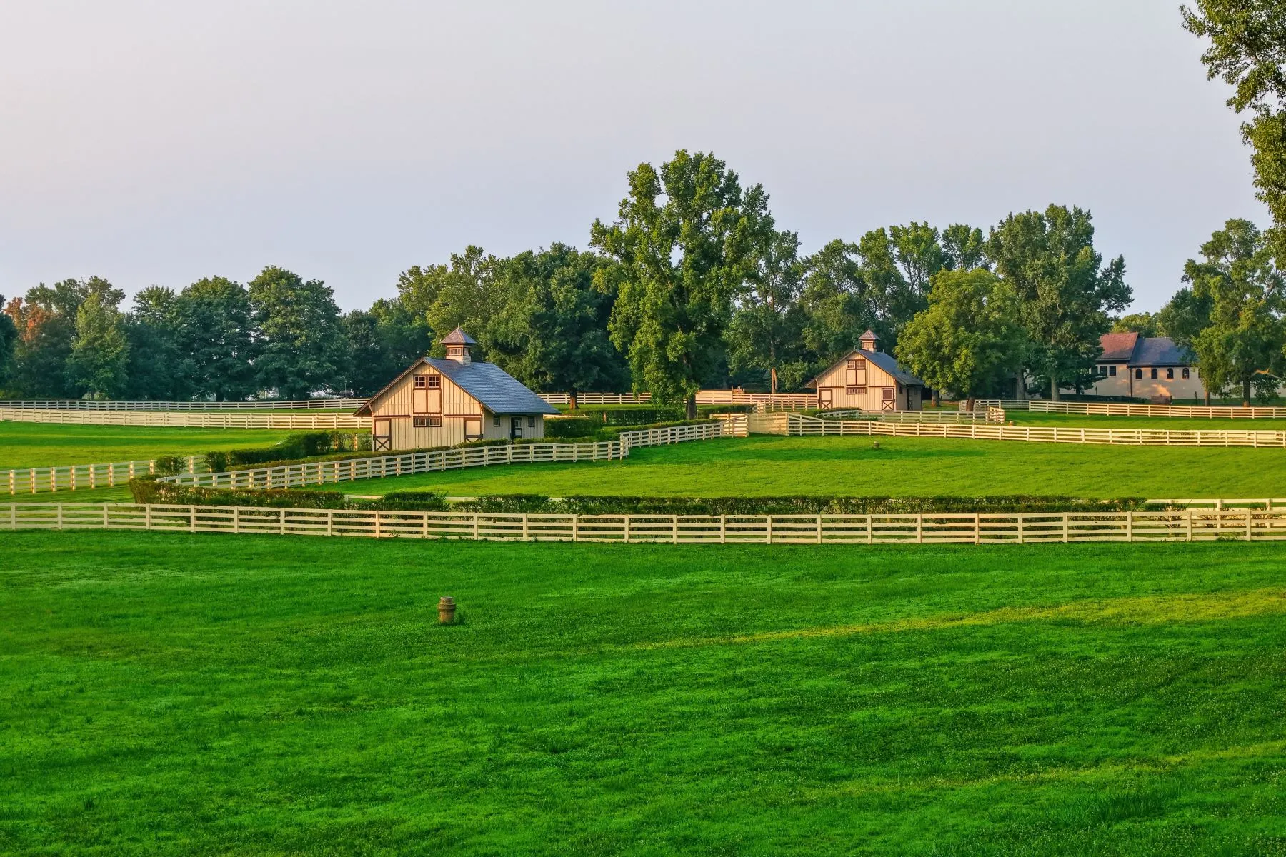 Two small barns near the white fenced pastures.