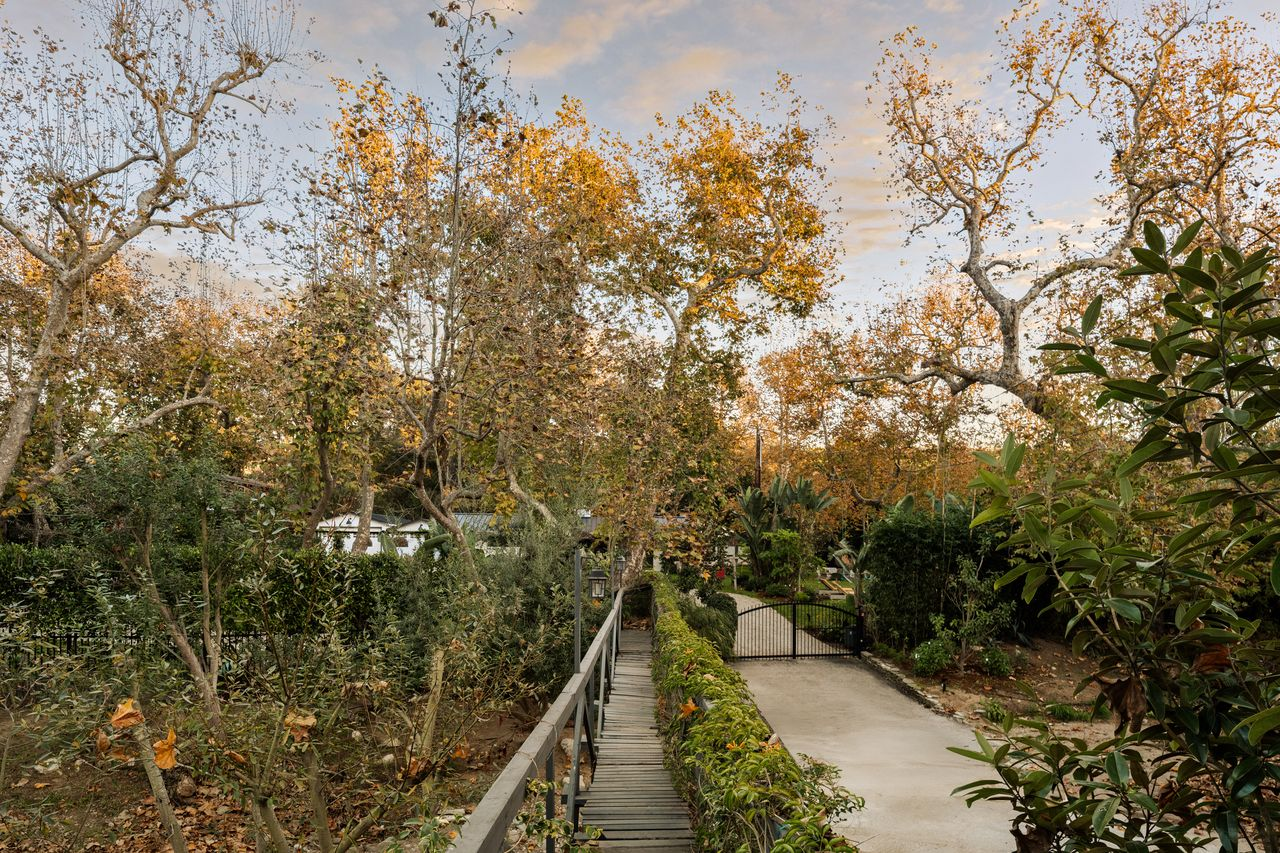 A long private driveway that runs through the trees, which keep much of the house hidden from view. 
