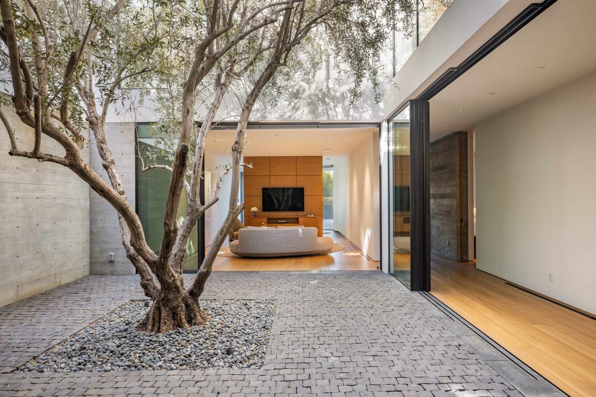 The entry hall opens to an interior courtyard centered on an olive tree.