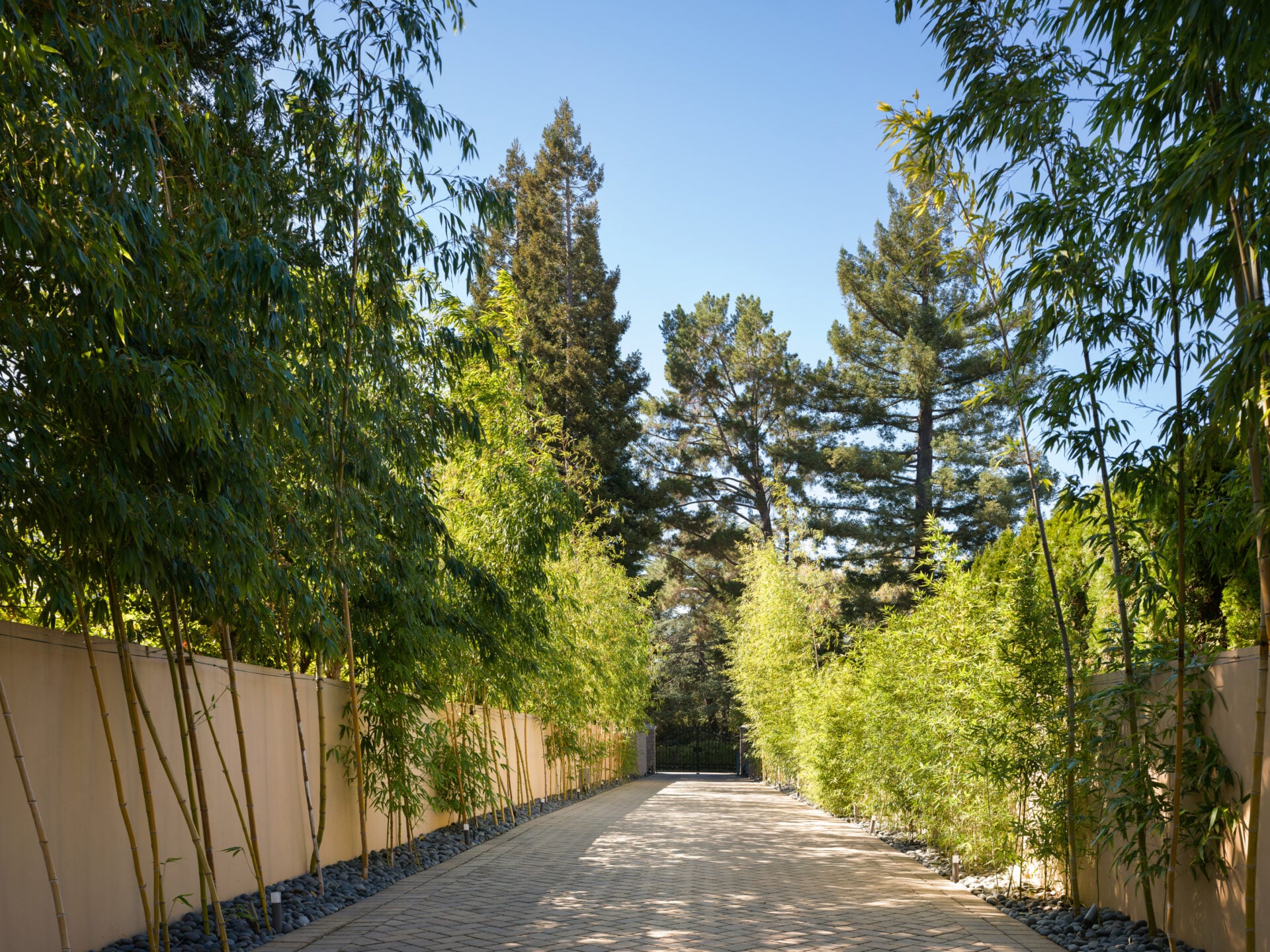 A long, winding stone driveway bordered by mature bamboo and dense Mediterranean-inspired landscaping.