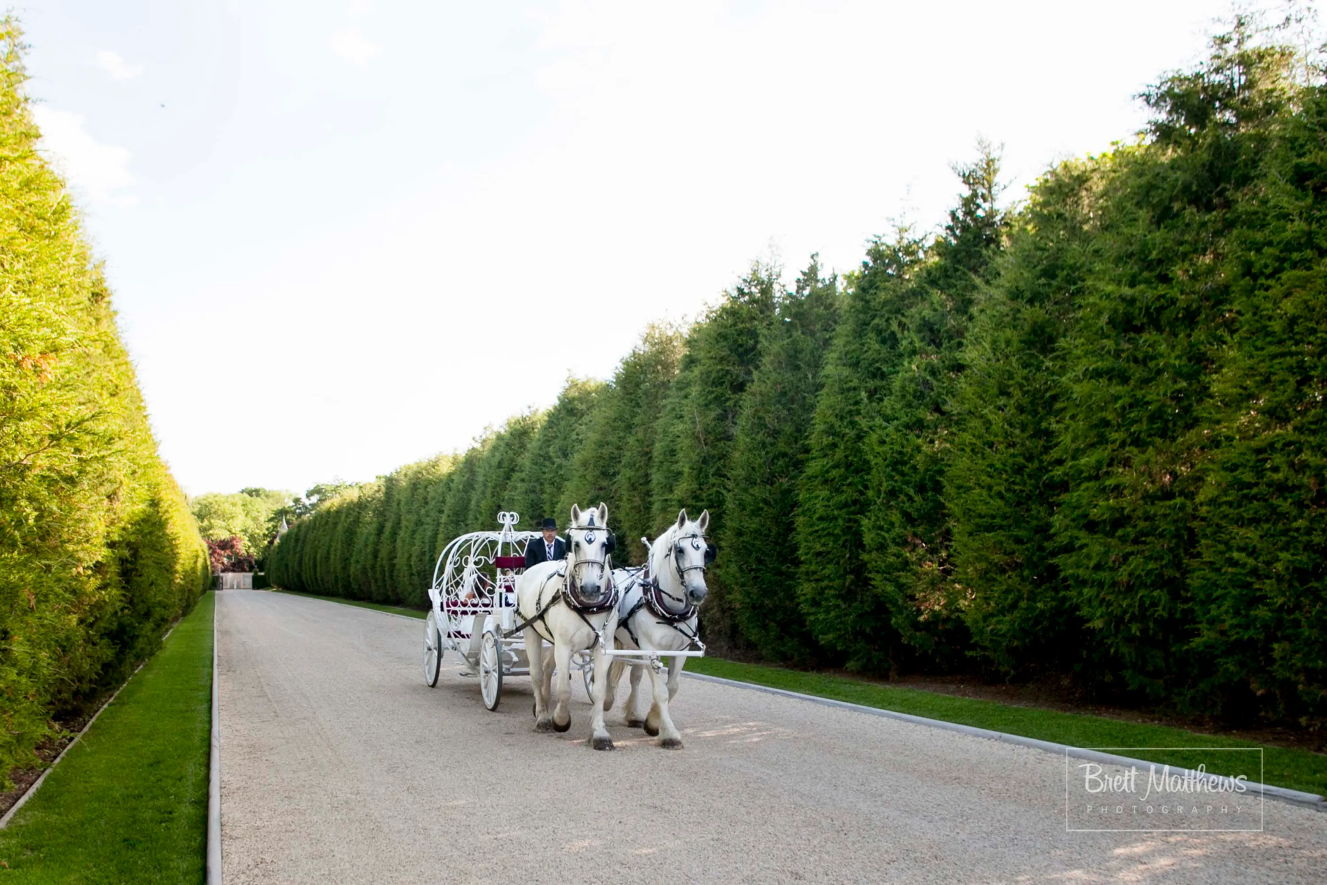 The landscaping opens into a long, tree-lined path bordered by tall evergreens.